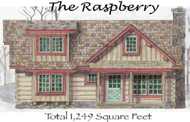 The Raspberry